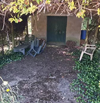 Foto annuncio 11