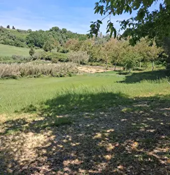 Foto annuncio 6