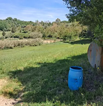 Foto annuncio 14