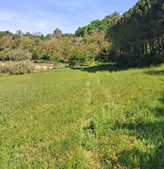 Foto annuncio 4