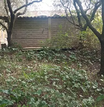 Foto annuncio 1