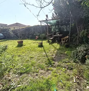 Foto annuncio 25
