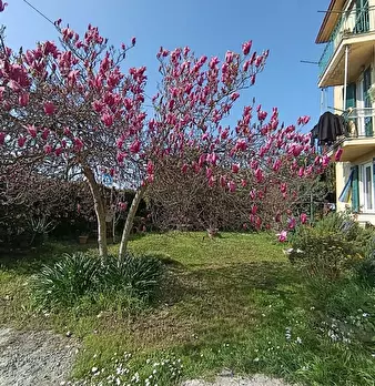 Foto annuncio 27