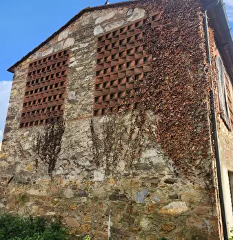 Foto annuncio 14
