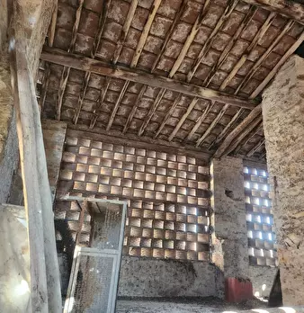 Foto annuncio 7
