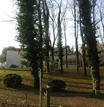 Foto annuncio 20