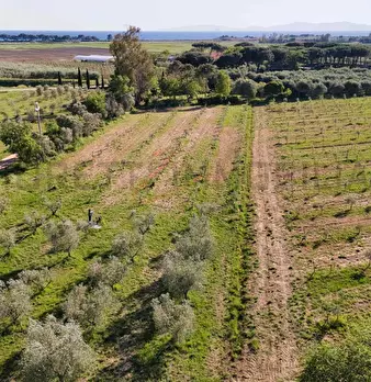 Foto annuncio 11