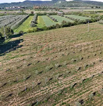 Foto annuncio 14