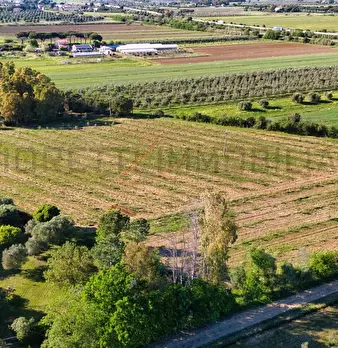 Foto annuncio 16