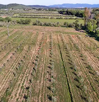 Foto annuncio 13