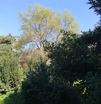 Foto annuncio 8