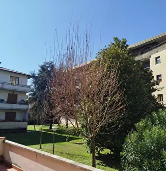 Foto annuncio 12
