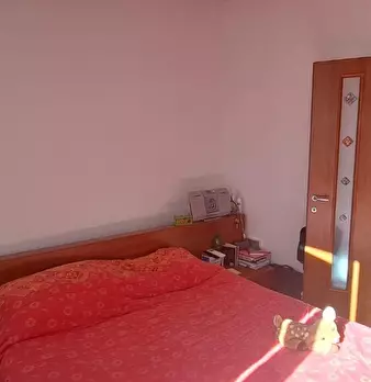 Foto annuncio 8