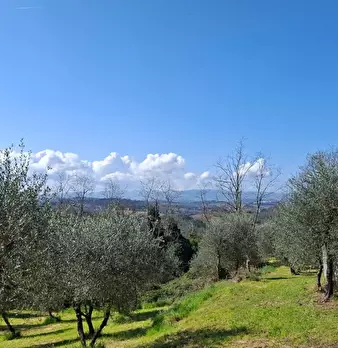 Foto annuncio 7