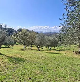 Foto annuncio 6