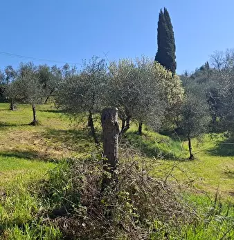 Foto annuncio 4