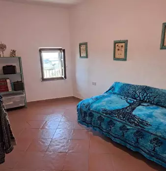 Foto annuncio 28