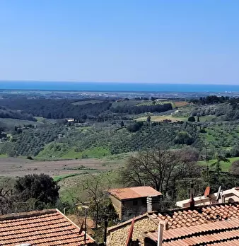 Foto annuncio 25