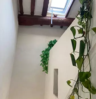 Foto annuncio 33