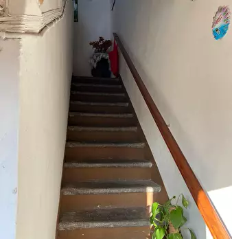 Foto annuncio 29