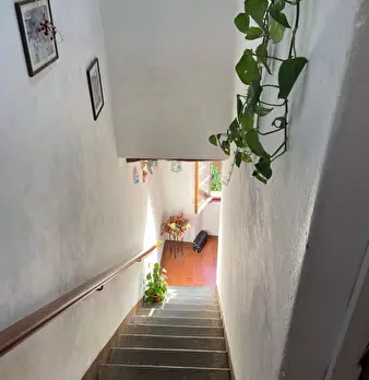 Foto annuncio 32
