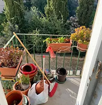 Foto annuncio 22
