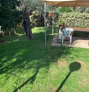 Foto annuncio 4