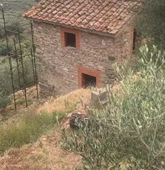 Foto annuncio 13