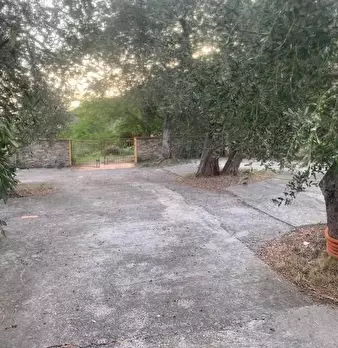 Foto annuncio 14
