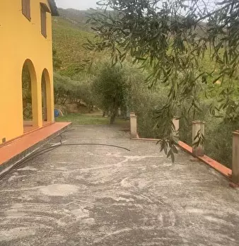Foto annuncio 2