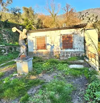 Foto annuncio 1