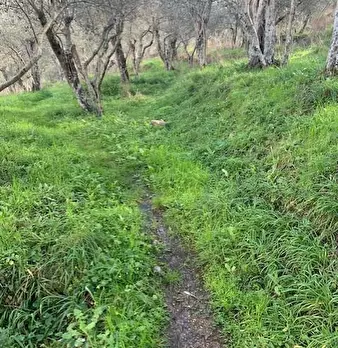 Foto annuncio 2