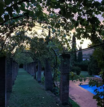 Foto annuncio 6