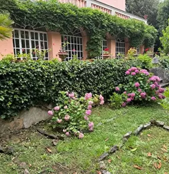 Foto annuncio 18