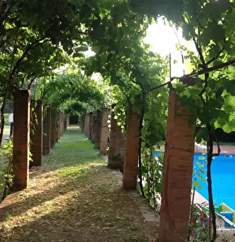 Foto annuncio 3