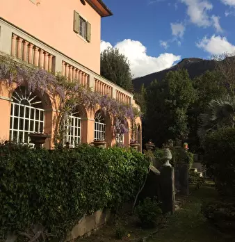 Foto annuncio 8