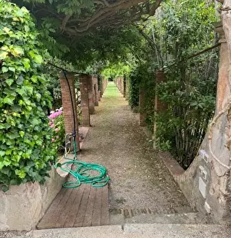 Foto annuncio 19
