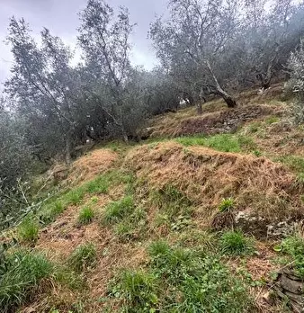 Foto annuncio 4