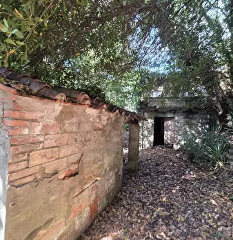 Foto annuncio 10