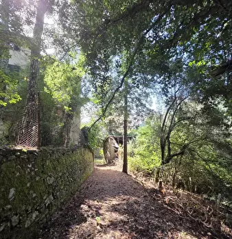 Foto annuncio 3