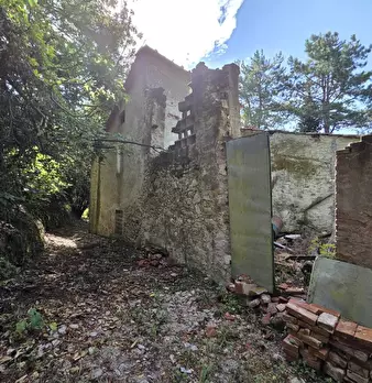 Foto annuncio 22