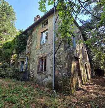 Foto annuncio 28