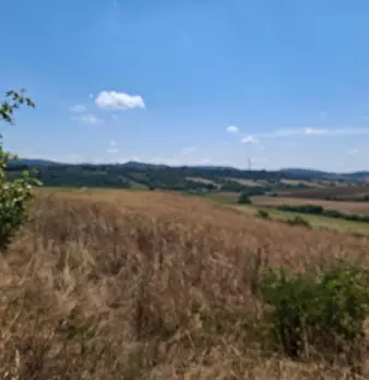 Foto annuncio 21