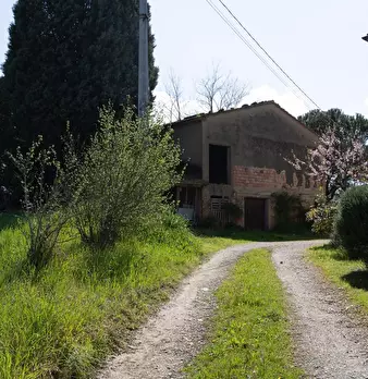 Foto annuncio 20