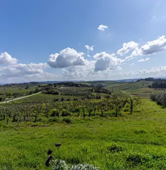 Foto annuncio 18
