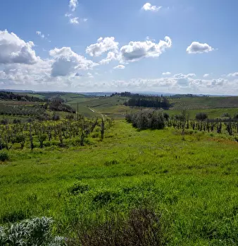 Foto annuncio 19
