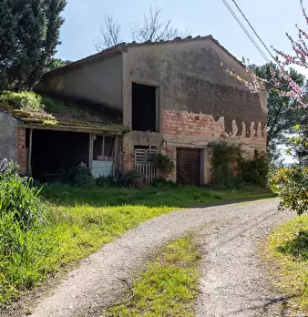 Foto annuncio 21