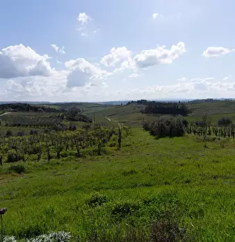 Foto annuncio 33
