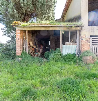 Foto annuncio 23