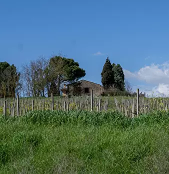 Foto annuncio 11